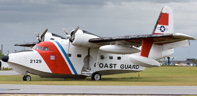 Альбатрос тёртый.jpg